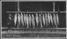Watson Newhall posing with caught fish, Grand Cascapedia Trip