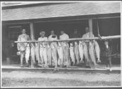 George Eastman and companions posing with fish, Grand Cascapedia Trip
