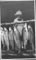 Eleanor Eastwood with fish, Grand Cascapedia Trip