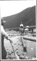 Horses pulling logs in river, Grand Cascapedia Trip