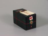 Kodak camera, Hundredth Anniversary replica