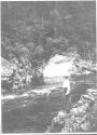 Eleanor Eastwood by river, Grand Cascapedia Trip