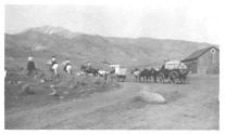 Camping companions with horses and wagons, Wyoming Trip