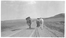 People walking horses, Wyoming Trip