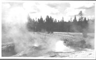 Yellowstone geyser, Wyoming Trip