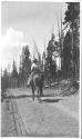 Rider on trail, Wyoming Trip
