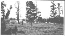 Campsite in meadow, Wyoming Trip