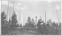 Treeline, Wyoming Trip