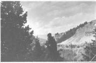 View of canyon, Wyoming Trip