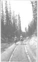 Riders on trail through forest, Wyoming Trip