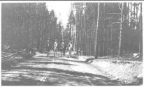 Riders on trail through forest, Wyoming Trip