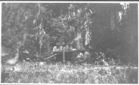 Group dining at edge of forest, Wyoming Trip