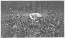 Man in field, Wyoming Trip