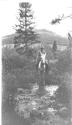 Rider on horseback, Wyoming Trip