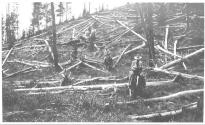 Riders going through logs, Wyoming Trip