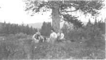 Eastwoods and Josephine Dickman picnicing near tree, Wyoming Trip