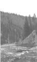 View of stream, Wyoming Trip