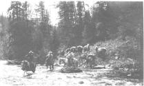 Fording stream, Wyoming Trip