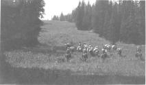 Riders and pack horses ascending hill, Wyoming Trip