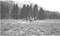 Riders in meadow, forest and mountains in distance, Wyoming Trip