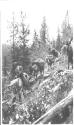 Riders and packhorses descending hill, Wyoming Trip