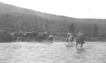 Fording stream, Wyoming Trip