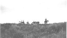 Riders and horses on ridge, Wyoming Trip