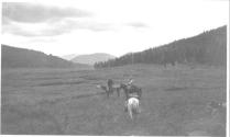 Riders in meadow, Wyoming Trip