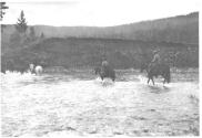 Fording stream, Wyoming Trip