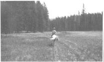 Rider in meadow, Wyoming Trip