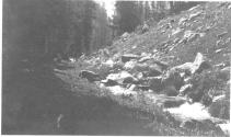 Man leaning over stream, Wyoming Trip