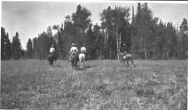 Riders in meadow, Wyoming Trip
