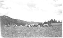 Riders in meadow, Wyoming Trip