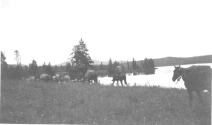 Riders alongside lake, Wyoming Trip