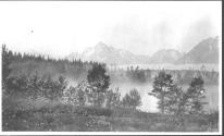 View of misty forest and mountains, Wyoming Trip