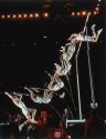 [Dave Wilson Pole Vaulting]
