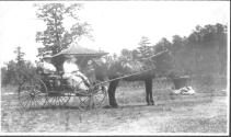 George Eastman and guests in horse drawn carriage, Oak Lodge Trip