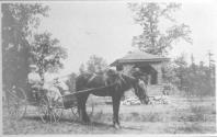 George Eastman and guests in horse drawn carriage, Oak Lodge Trip