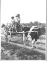 African American boys on cart, Oak Lodge Trip