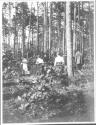Guests walking through forest, Oak Lodge Trip