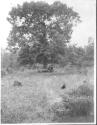 Guests on bench under tree, Oak Lodge Trip