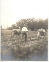 Plowing a field, Oak Lodge Trip