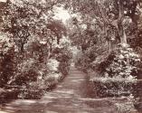 Alley in Camoes Garden Macao