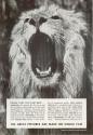 Advertisement for Kodak Films