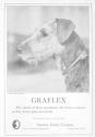 Kodak advertisement for Graflex Cameras