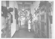 Sevran: C.K. processing drying alley.