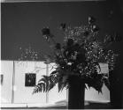 [Roses in a vase]