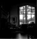 [Dark interior with a tree outside of the window]