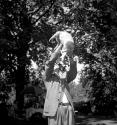 [Beaumont Newhall playing with a cat]