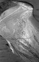 [Water ripples along sand of beach]
